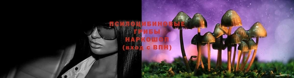 кокс Богданович