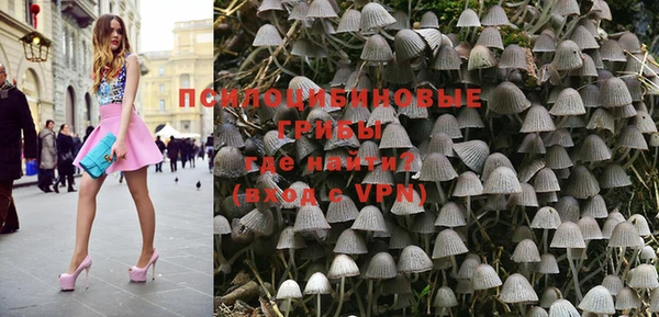 ALPHA-PVP Богородицк